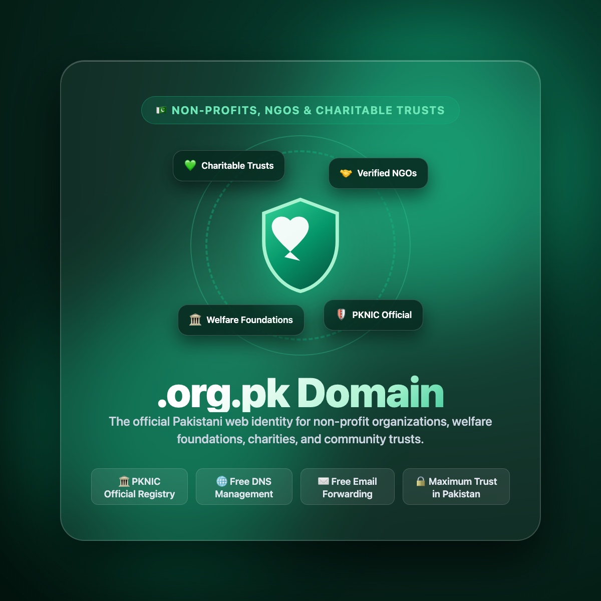 .org.pk domain registration for NGOs, charities, and non-profits in Pakistan