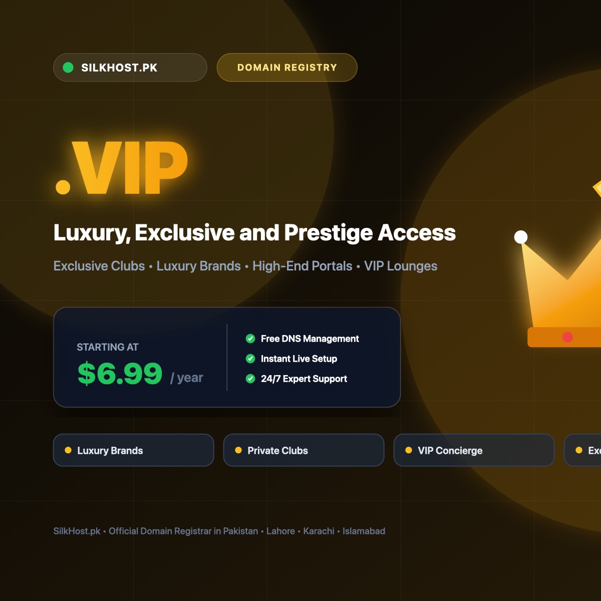 .vip domain registration for exclusive clubs, luxury brands, and VIP membership services in Pakistan